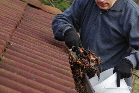 Professional gutter service person cleaning leaves and sticks from a clogged gutter system in Lehigh Valley.
